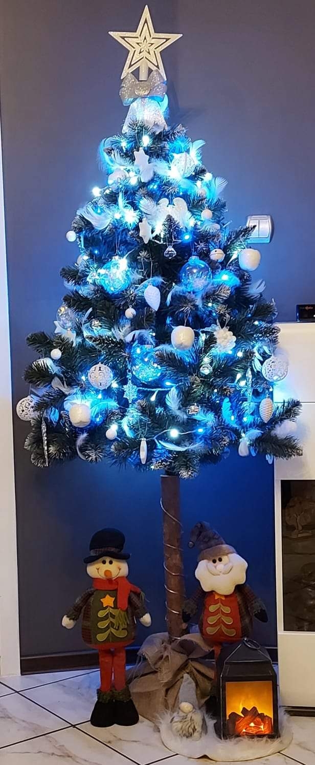 25/105 Piękne choinki czytelników portalu gorzowianin.com