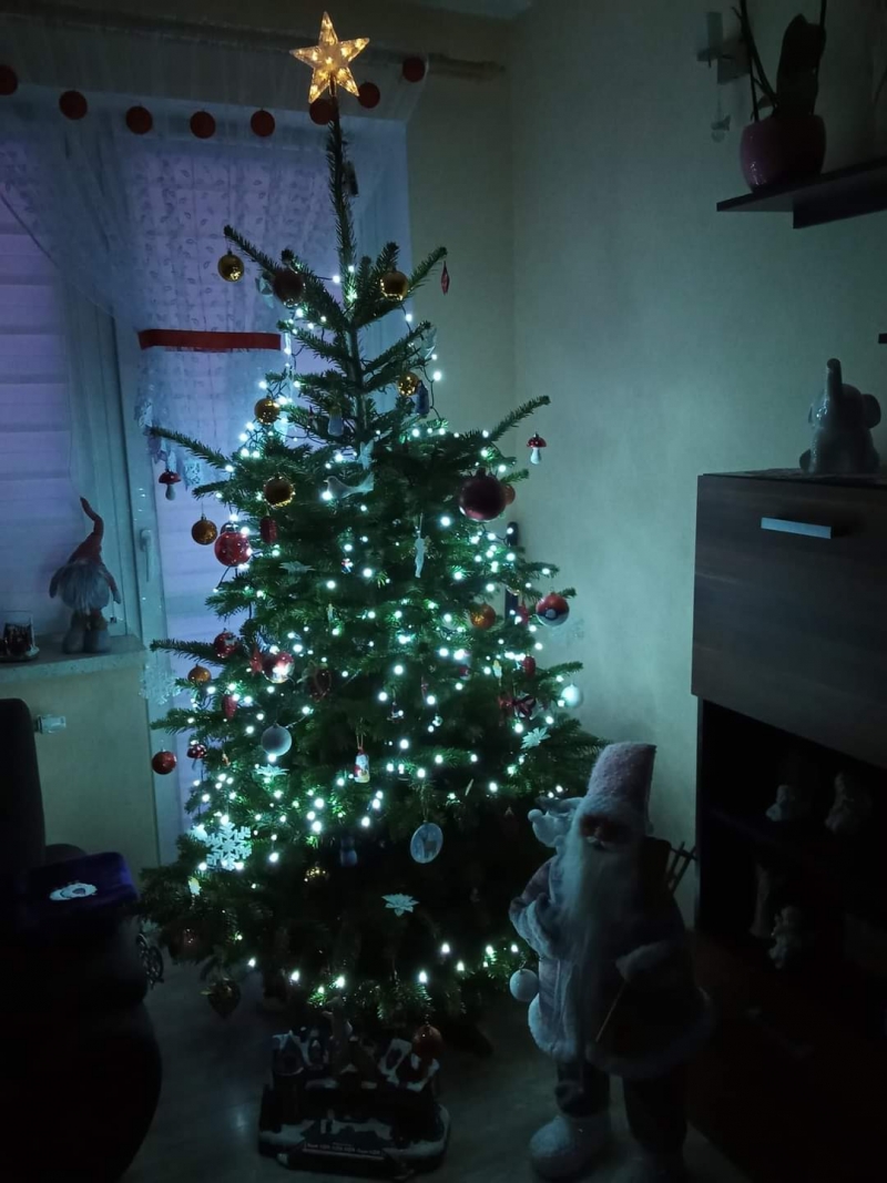 26/105 Piękne choinki czytelników portalu gorzowianin.com