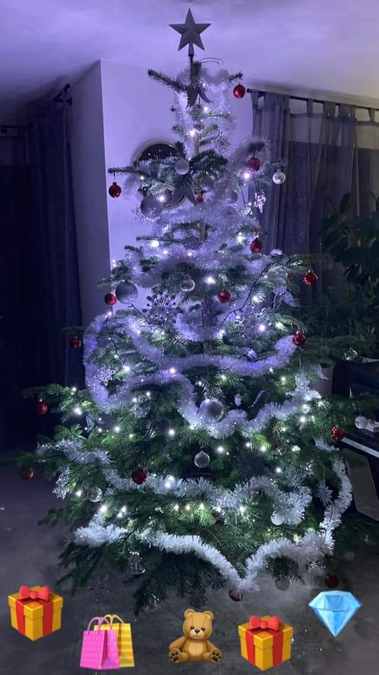 27/105 Piękne choinki czytelników portalu gorzowianin.com