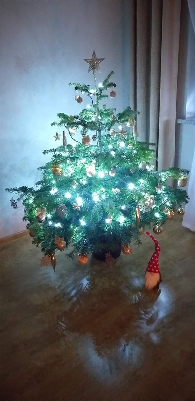 28/105 Piękne choinki czytelników portalu gorzowianin.com