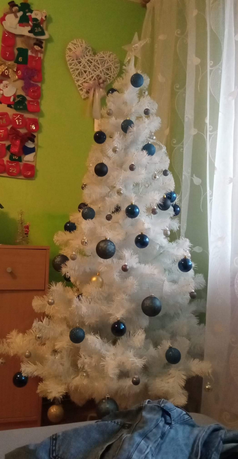 29/105 Piękne choinki czytelników portalu gorzowianin.com