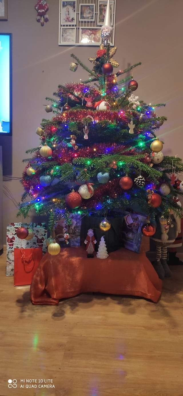 30/105 Piękne choinki czytelników portalu gorzowianin.com