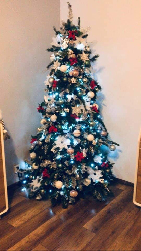 31/105 Piękne choinki czytelników portalu gorzowianin.com