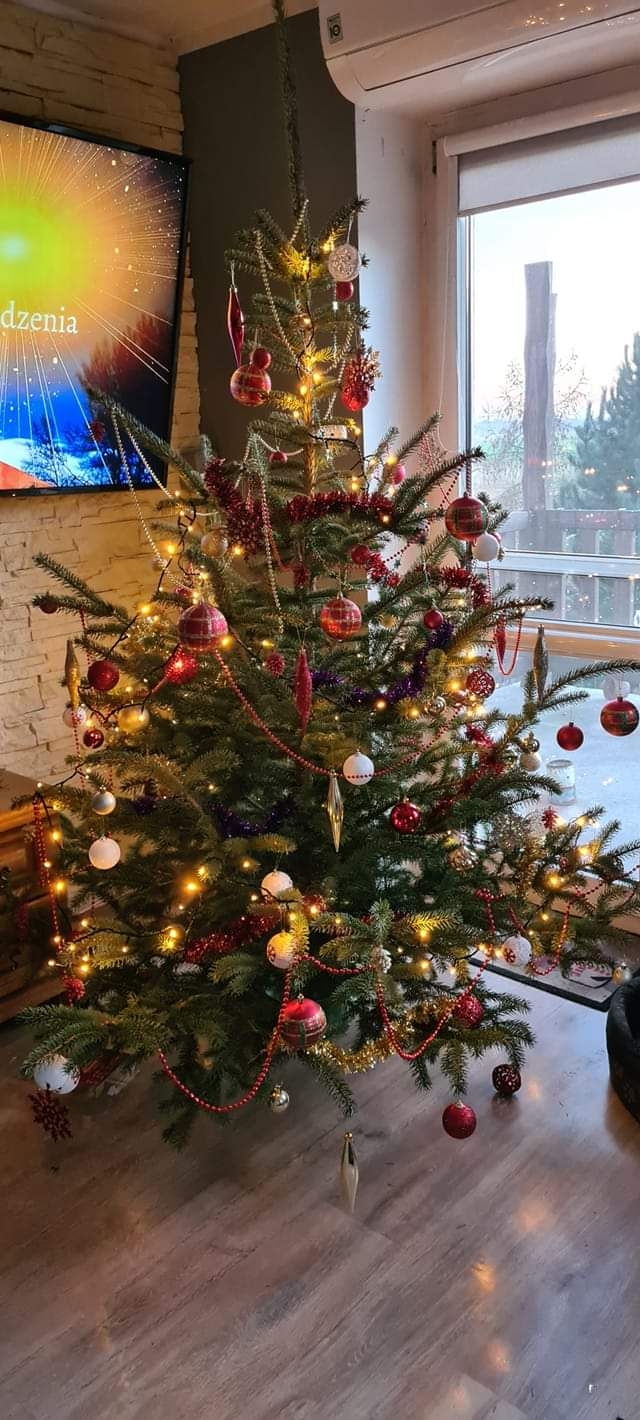 32/105 Piękne choinki czytelników portalu gorzowianin.com
