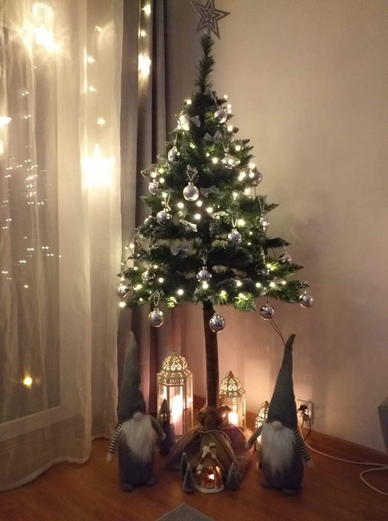 33/105 Piękne choinki czytelników portalu gorzowianin.com