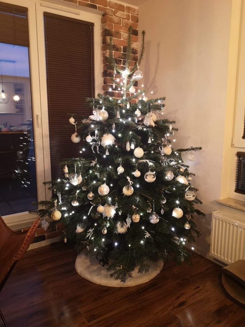 37/105 Piękne choinki czytelników portalu gorzowianin.com