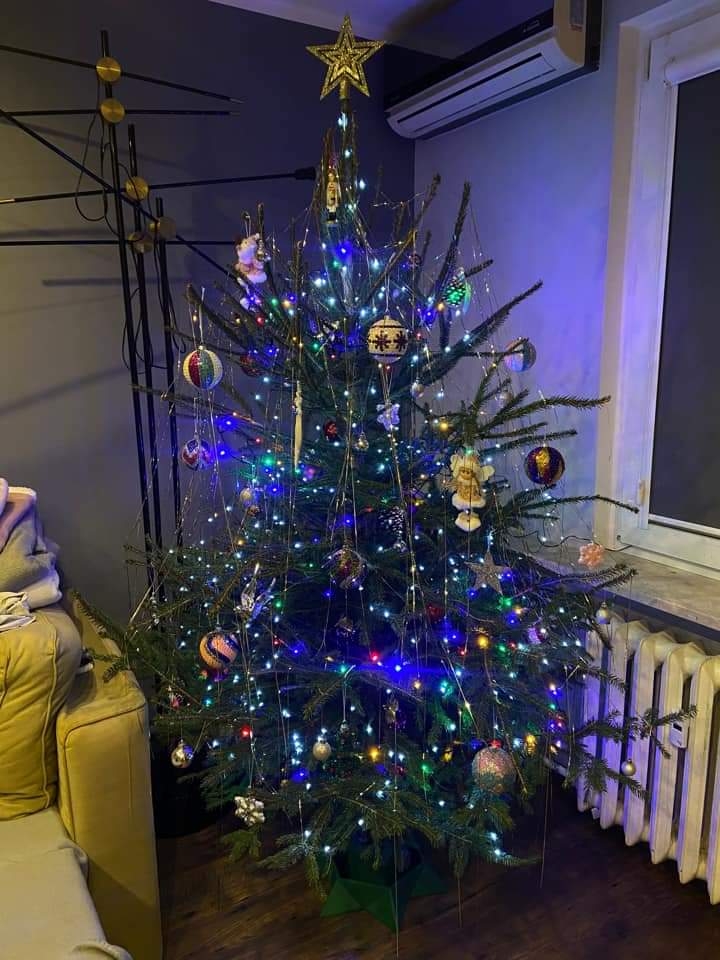 39/105 Piękne choinki czytelników portalu gorzowianin.com