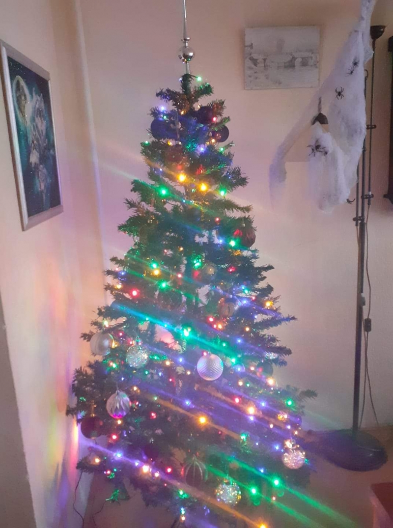 40/105 Piękne choinki czytelników portalu gorzowianin.com