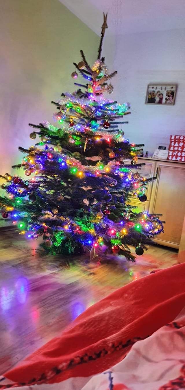 41/105 Piękne choinki czytelników portalu gorzowianin.com