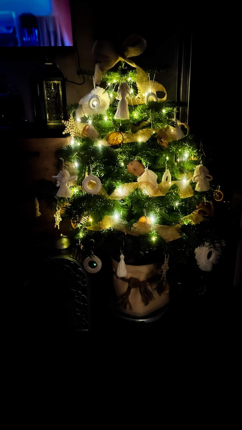 43/105 Piękne choinki czytelników portalu gorzowianin.com