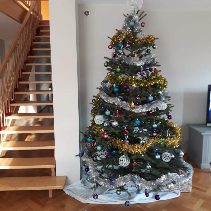 44/105 Piękne choinki czytelników portalu gorzowianin.com