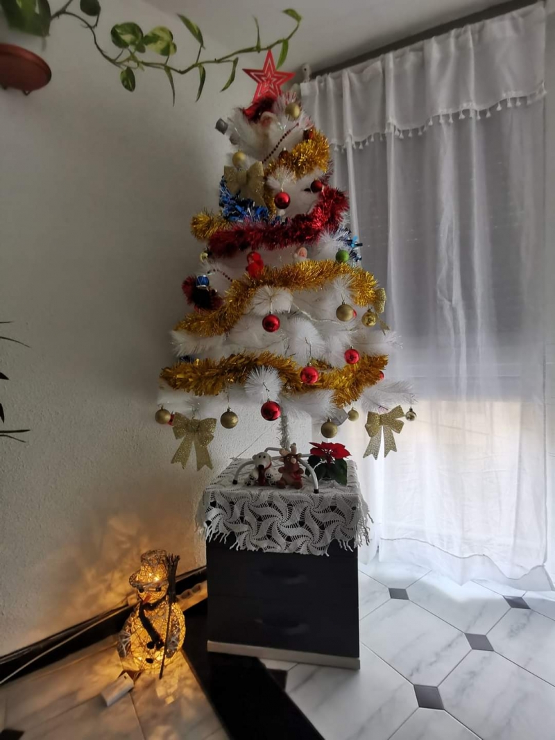 45/105 Piękne choinki czytelników portalu gorzowianin.com