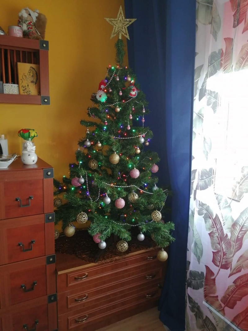 46/105 Piękne choinki czytelników portalu gorzowianin.com