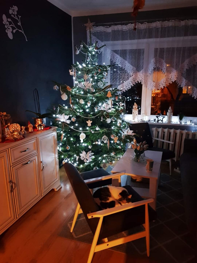 47/105 Piękne choinki czytelników portalu gorzowianin.com