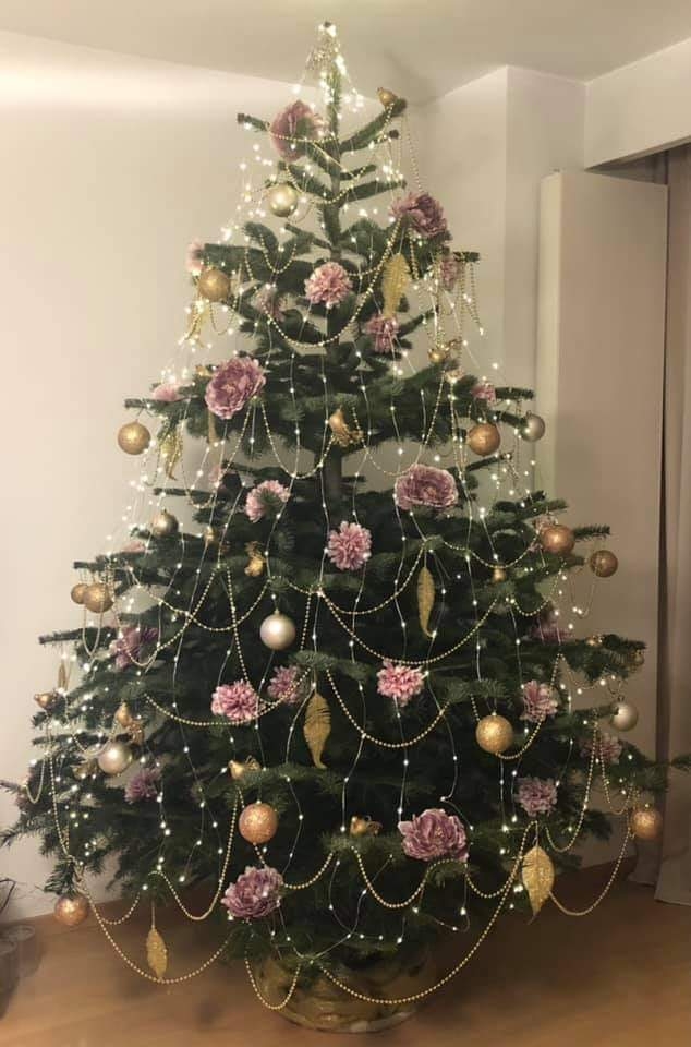 48/105 Piękne choinki czytelników portalu gorzowianin.com