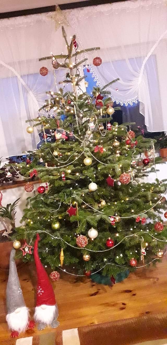 52/105 Piękne choinki czytelników portalu gorzowianin.com