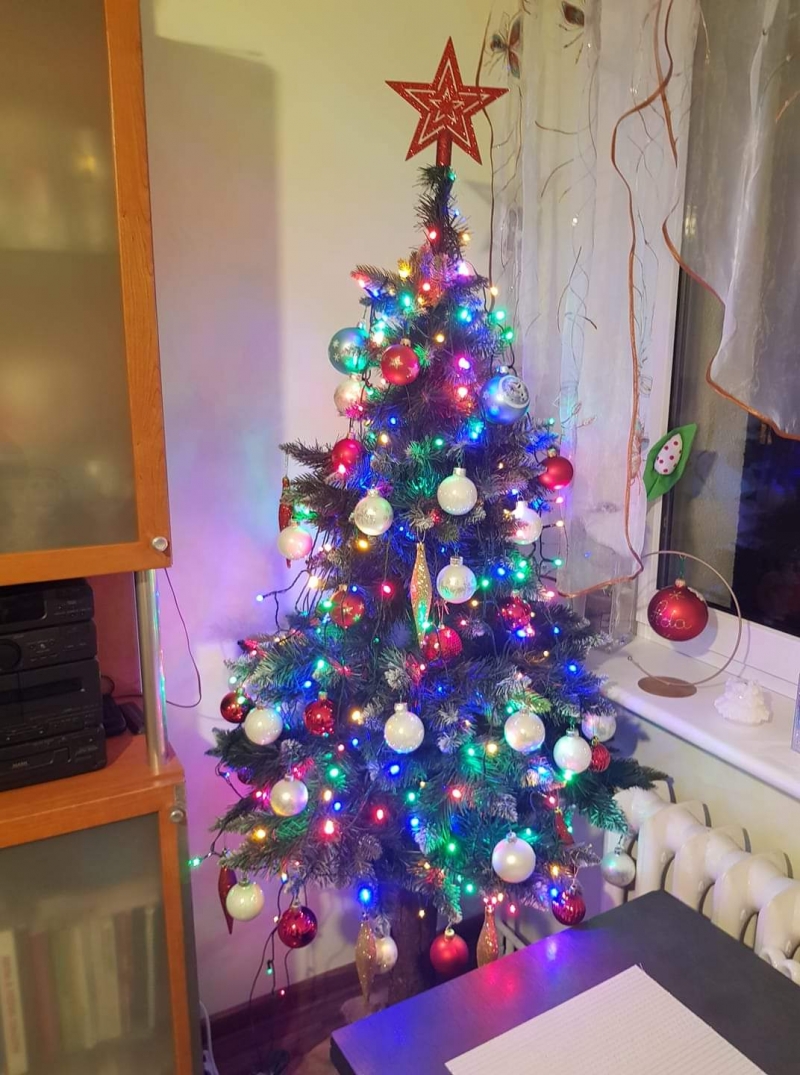 53/105 Piękne choinki czytelników portalu gorzowianin.com