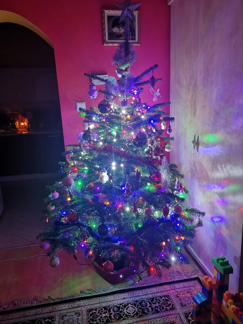 54/105 Piękne choinki czytelników portalu gorzowianin.com