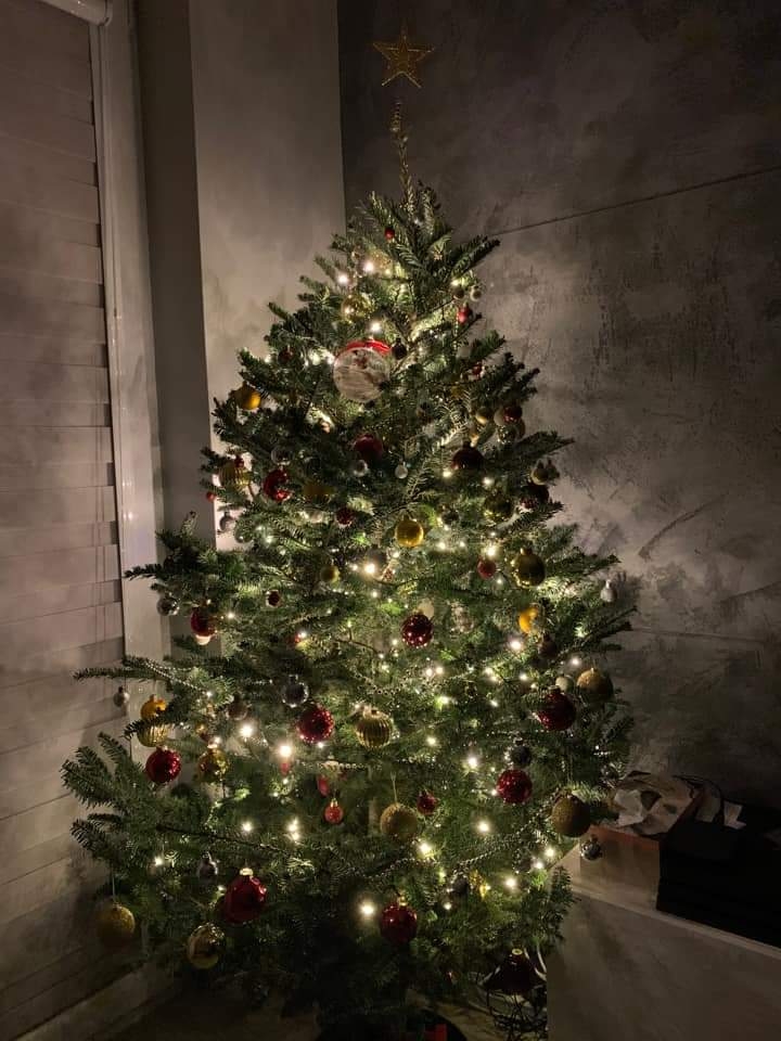 55/105 Piękne choinki czytelników portalu gorzowianin.com