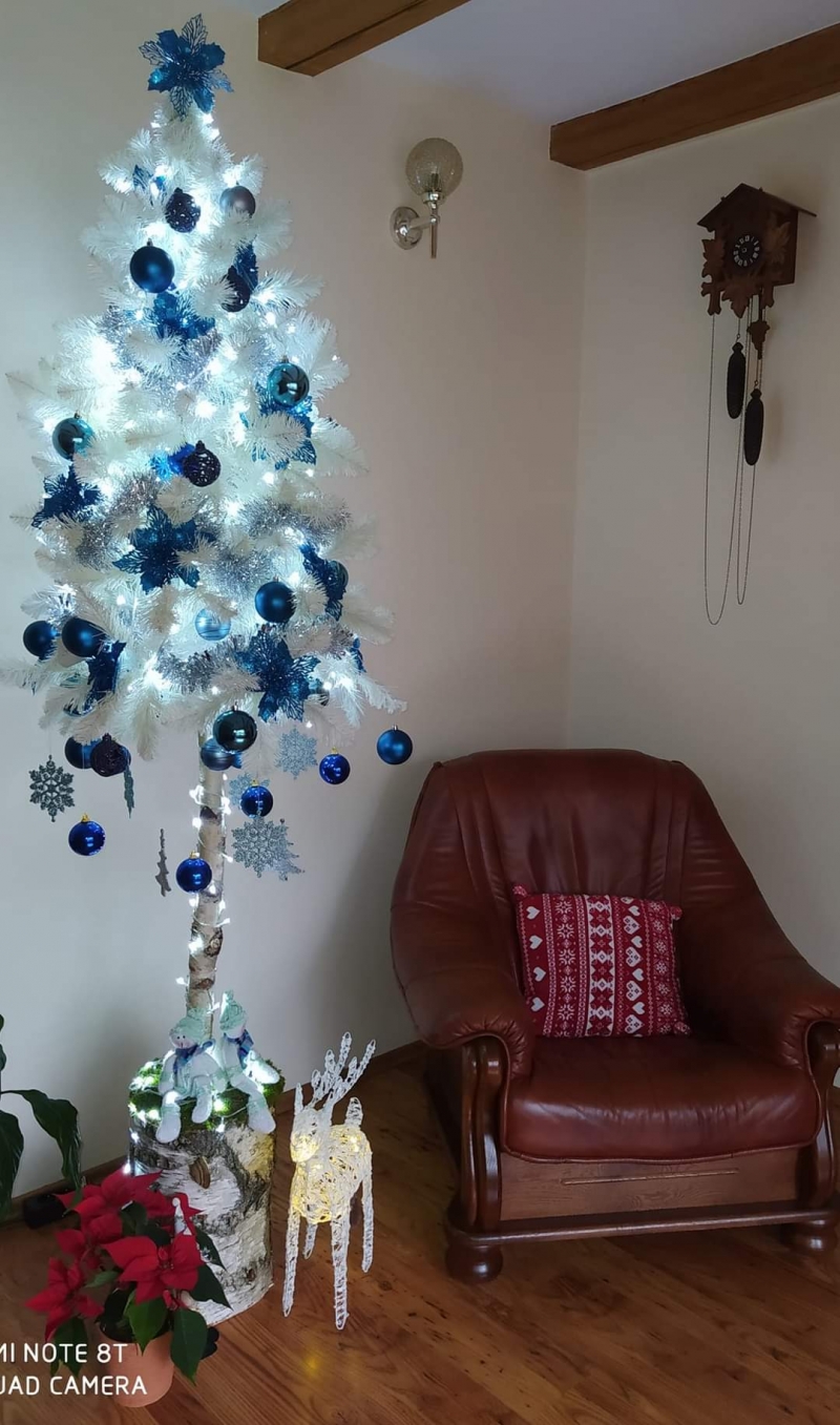 57/105 Piękne choinki czytelników portalu gorzowianin.com