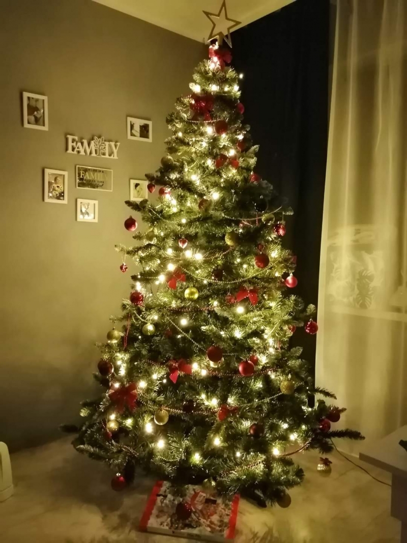 58/105 Piękne choinki czytelników portalu gorzowianin.com