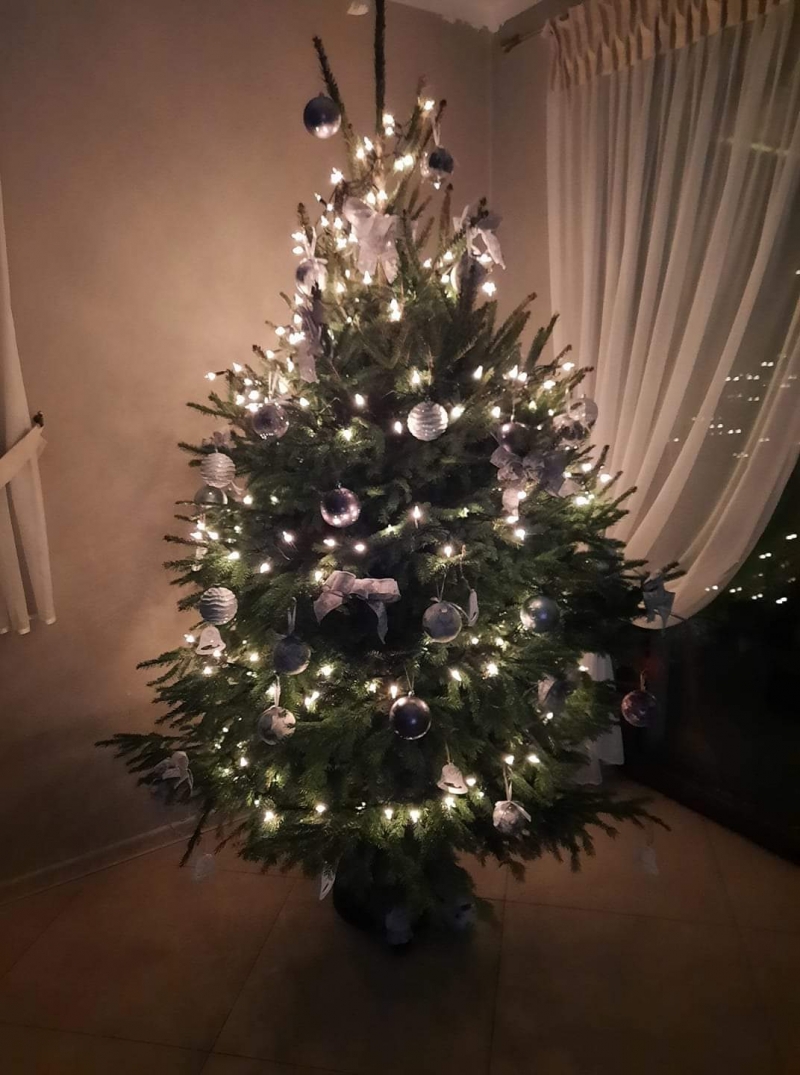 59/105 Piękne choinki czytelników portalu gorzowianin.com