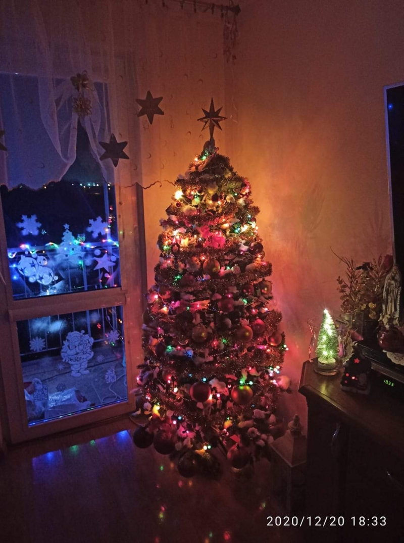 60/105 Piękne choinki czytelników portalu gorzowianin.com