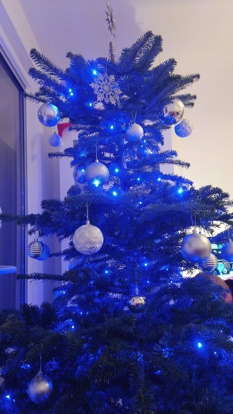 61/105 Piękne choinki czytelników portalu gorzowianin.com