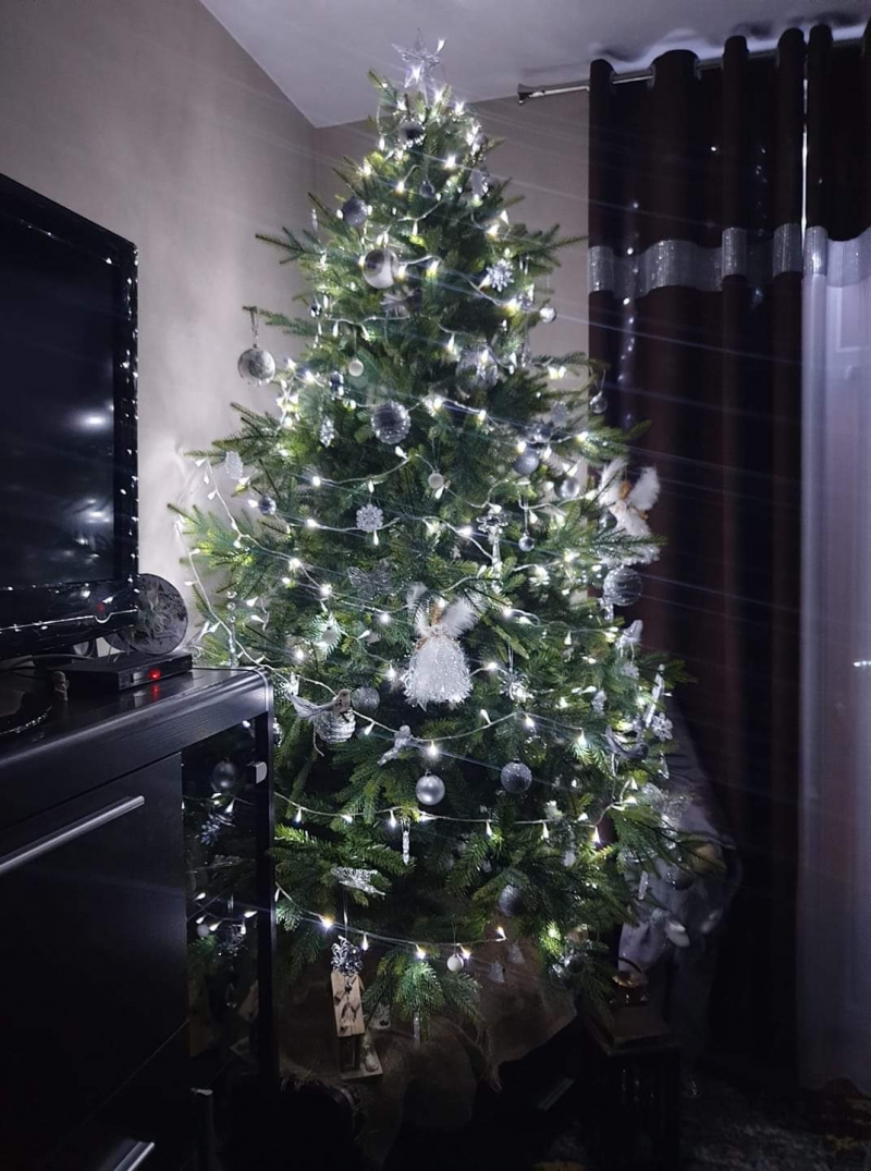 62/105 Piękne choinki czytelników portalu gorzowianin.com