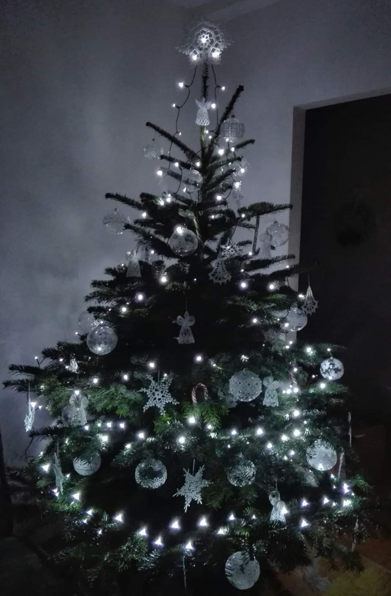 64/105 Piękne choinki czytelników portalu gorzowianin.com