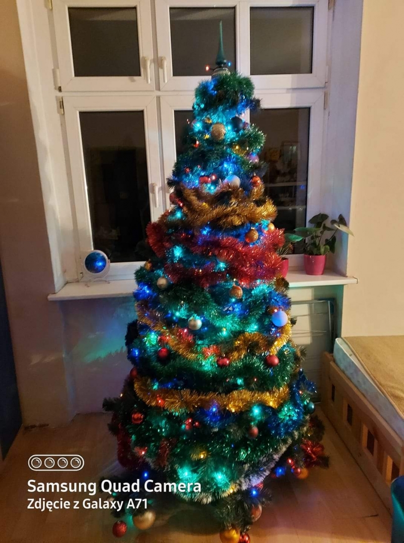 65/105 Piękne choinki czytelników portalu gorzowianin.com