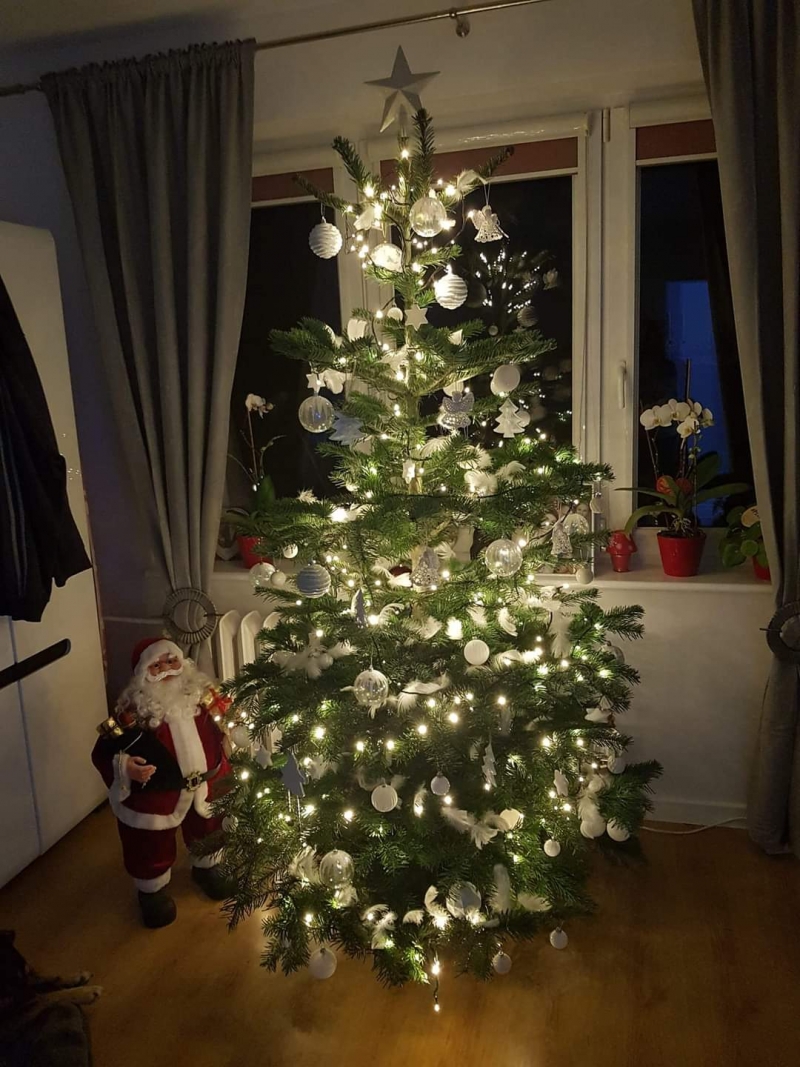 66/105 Piękne choinki czytelników portalu gorzowianin.com