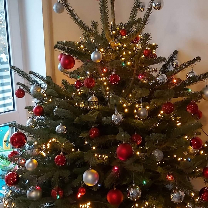 67/105 Piękne choinki czytelników portalu gorzowianin.com