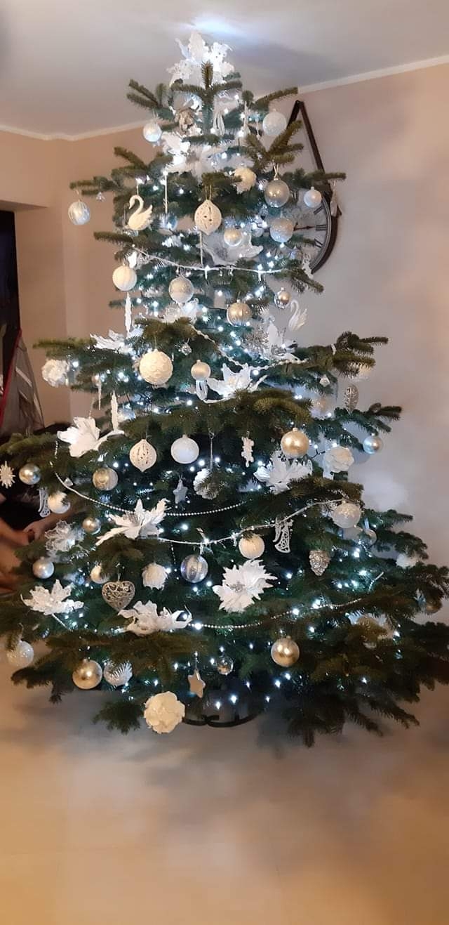 68/105 Piękne choinki czytelników portalu gorzowianin.com