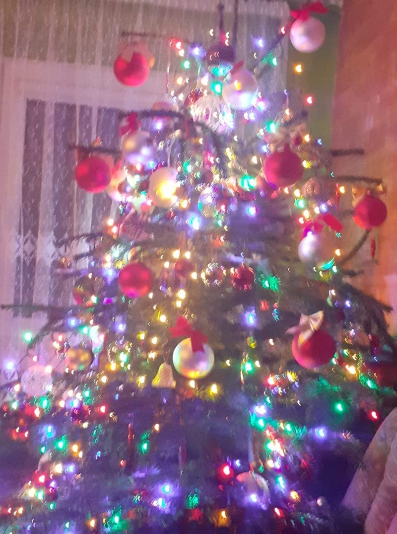 71/105 Piękne choinki czytelników portalu gorzowianin.com