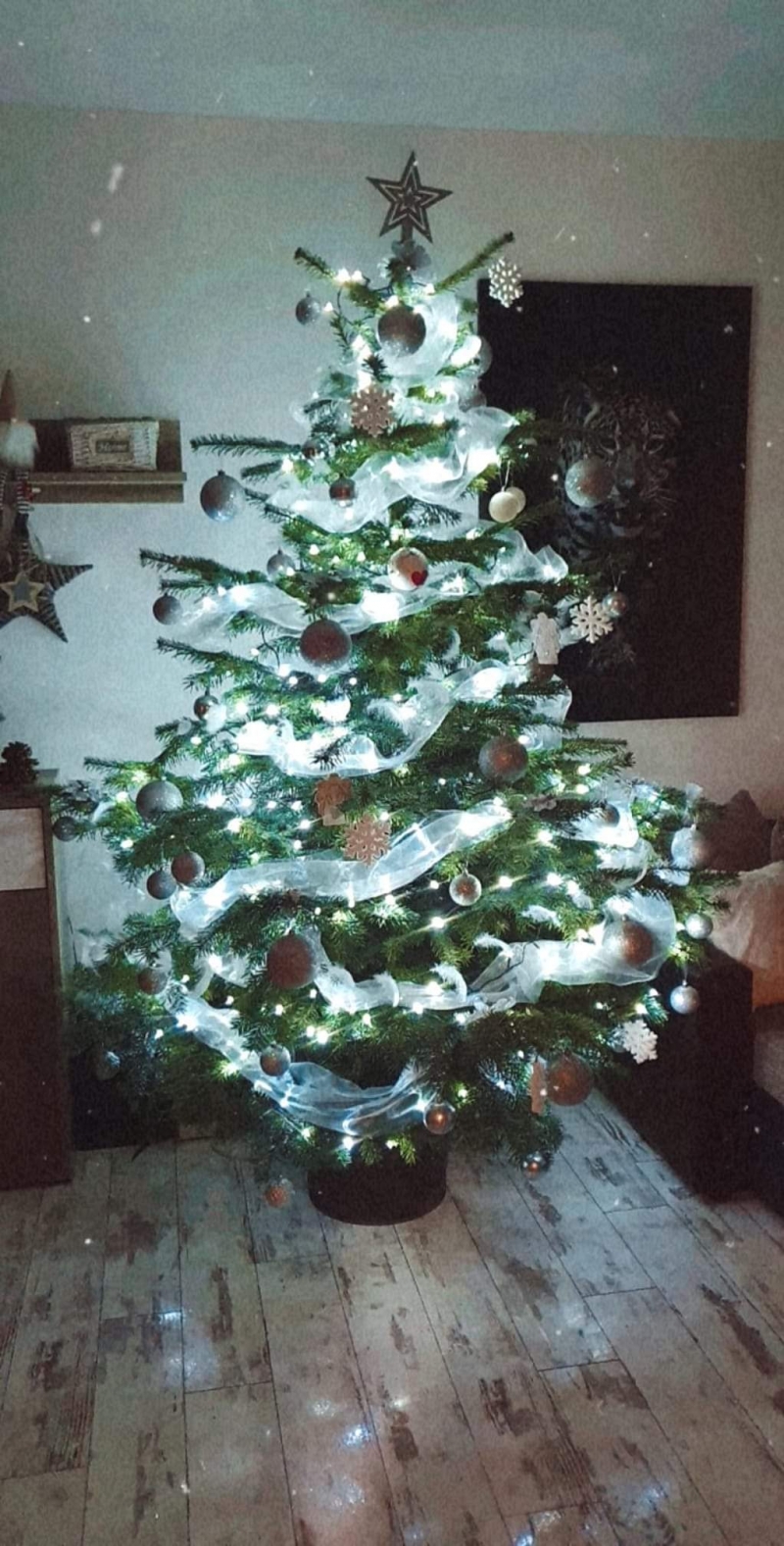 72/105 Piękne choinki czytelników portalu gorzowianin.com