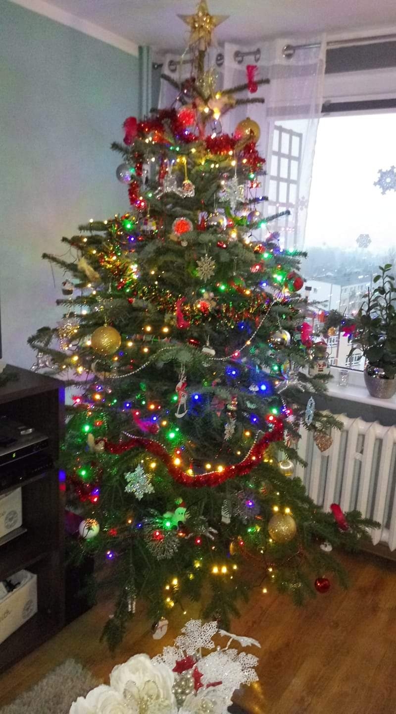 74/105 Piękne choinki czytelników portalu gorzowianin.com