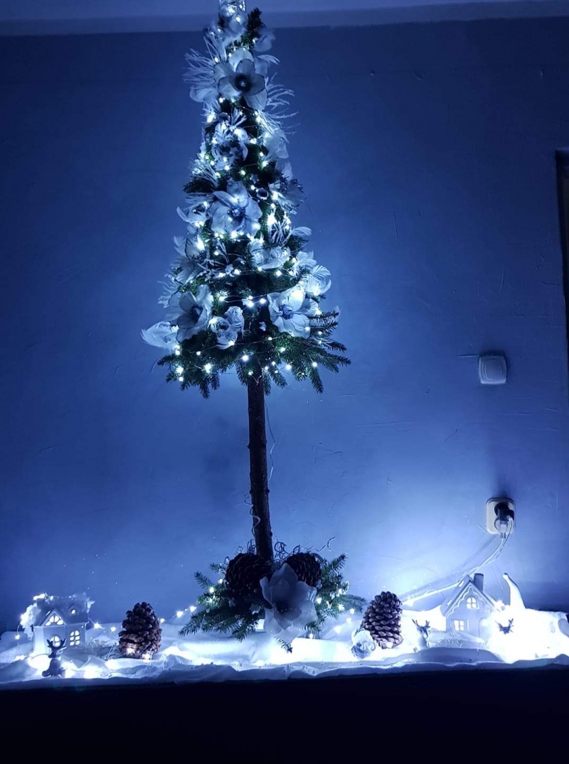 75/105 Piękne choinki czytelników portalu gorzowianin.com