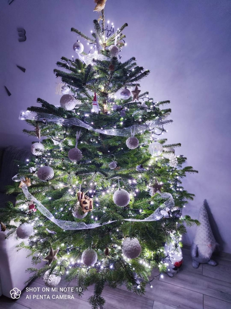 76/105 Piękne choinki czytelników portalu gorzowianin.com