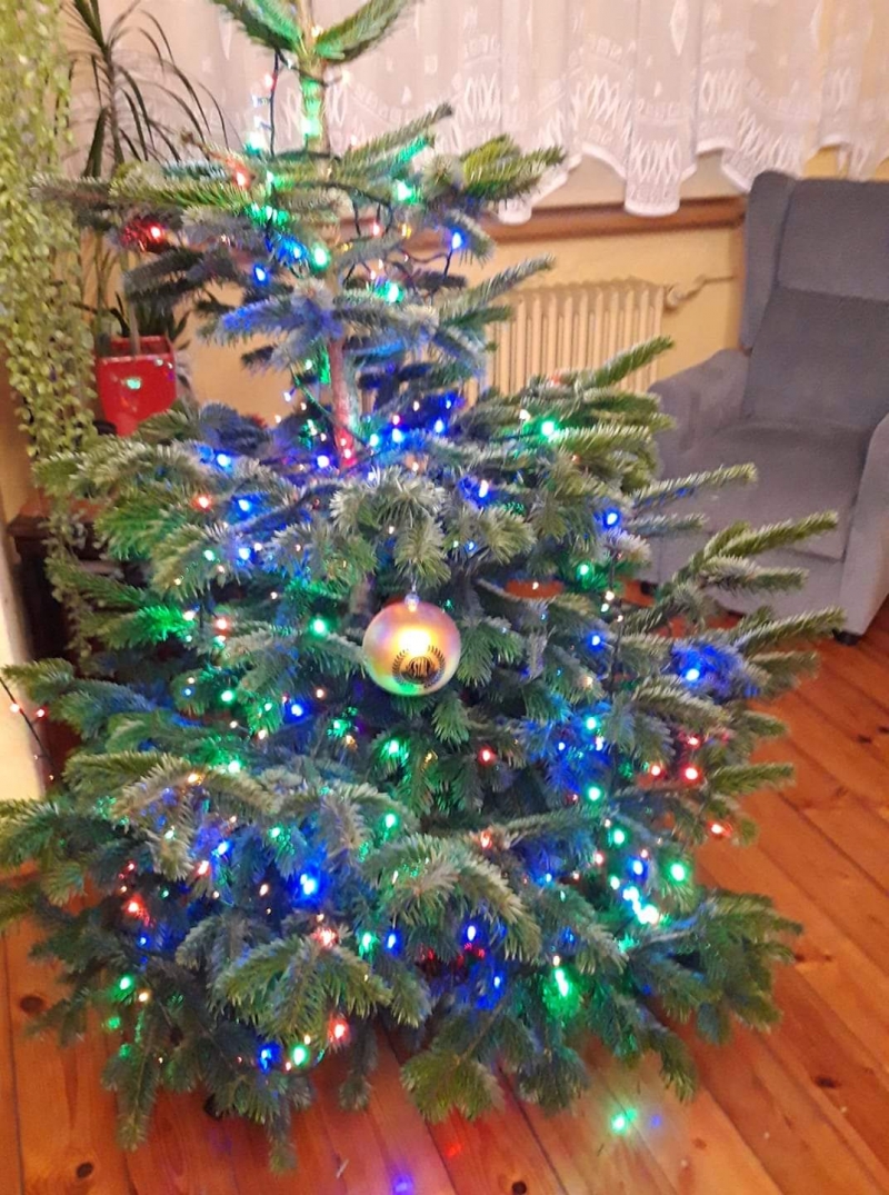 78/105 Piękne choinki czytelników portalu gorzowianin.com