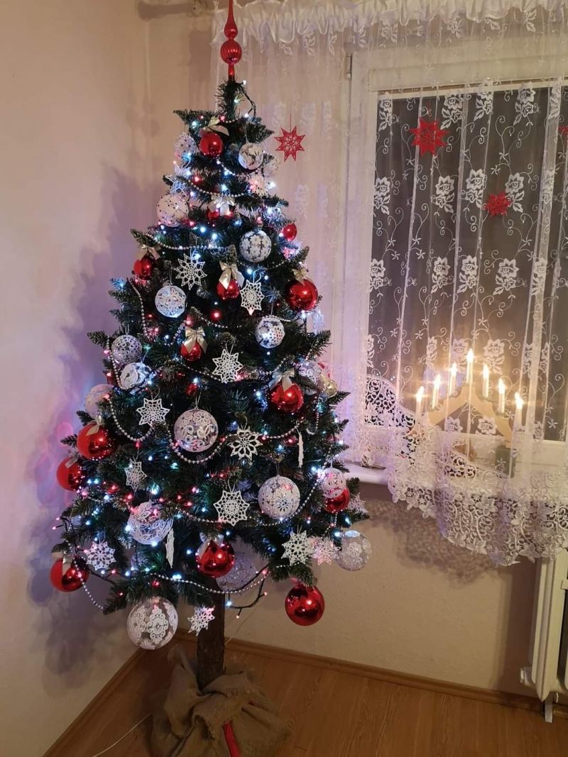 79/105 Piękne choinki czytelników portalu gorzowianin.com