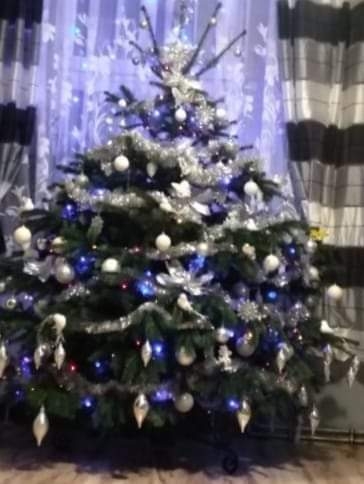 81/105 Piękne choinki czytelników portalu gorzowianin.com