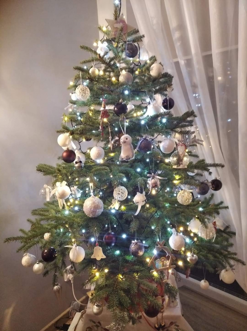 82/105 Piękne choinki czytelników portalu gorzowianin.com