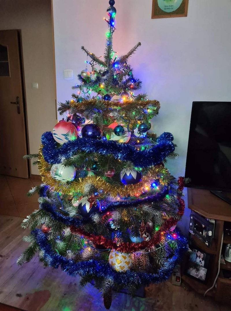 85/105 Piękne choinki czytelników portalu gorzowianin.com