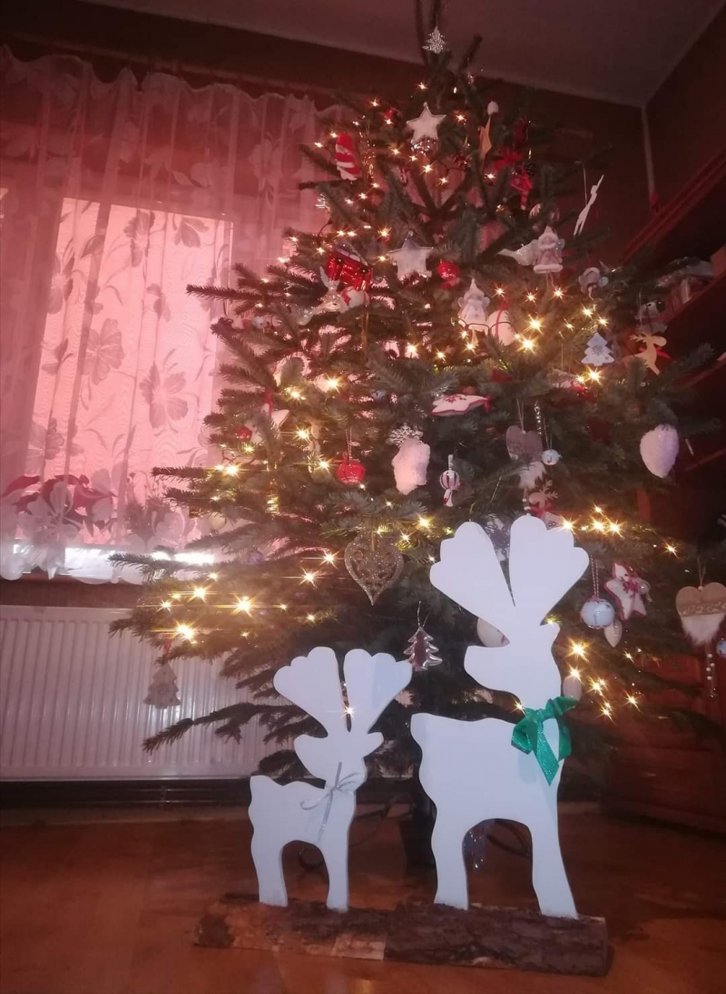 86/105 Piękne choinki czytelników portalu gorzowianin.com