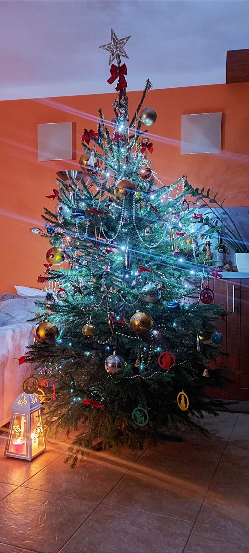 87/105 Piękne choinki czytelników portalu gorzowianin.com