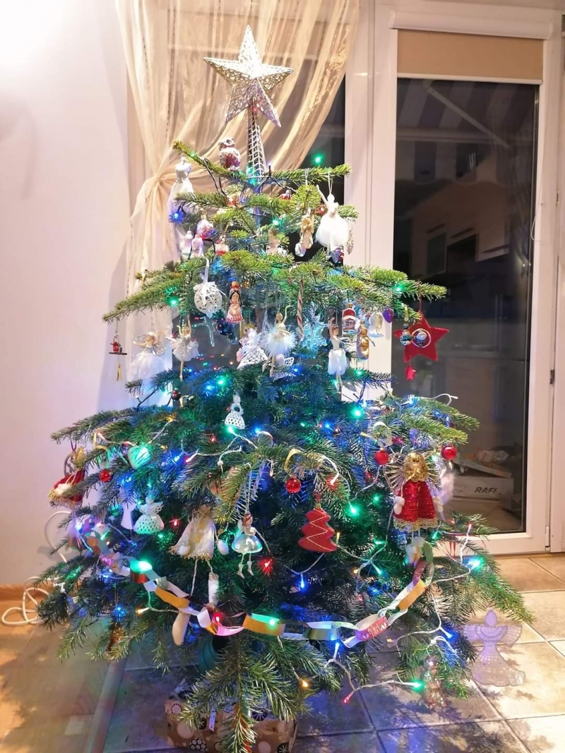 89/105 Piękne choinki czytelników portalu gorzowianin.com