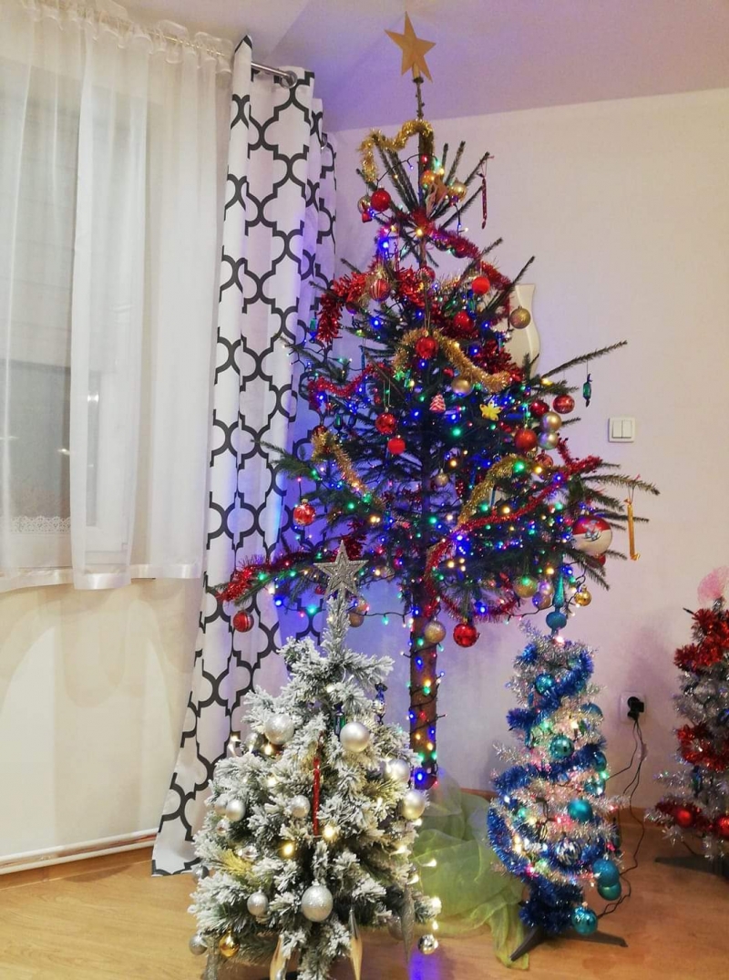 91/105 Piękne choinki czytelników portalu gorzowianin.com