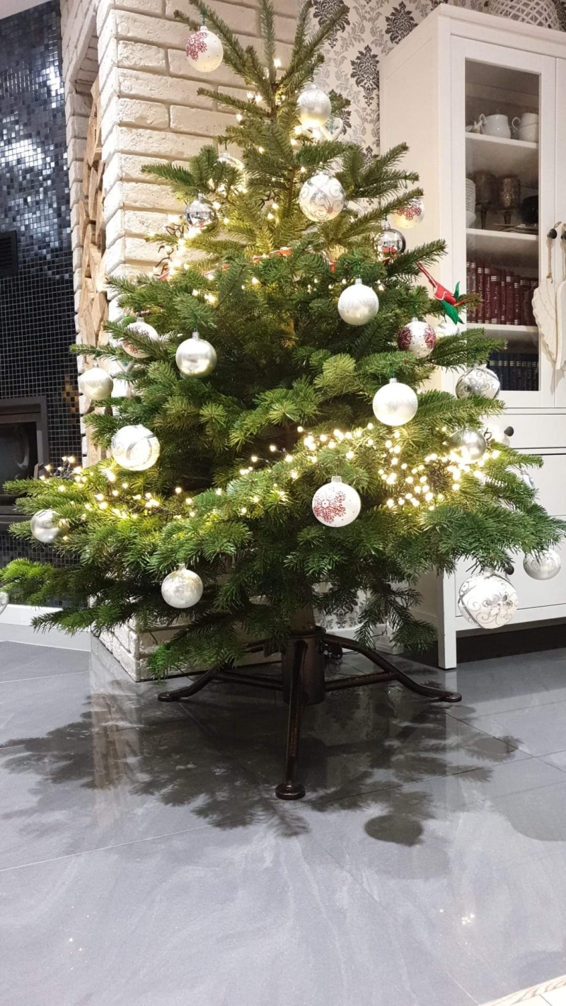 98/105 Piękne choinki czytelników portalu gorzowianin.com