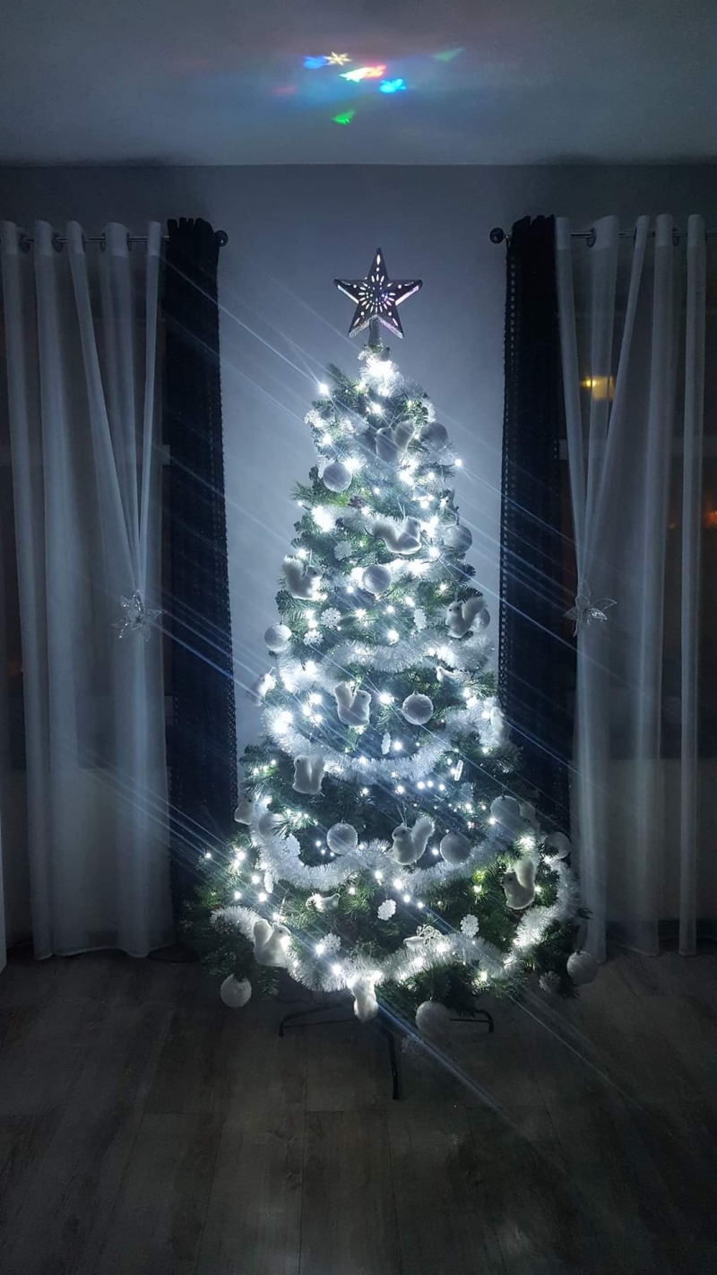 99/105 Piękne choinki czytelników portalu gorzowianin.com